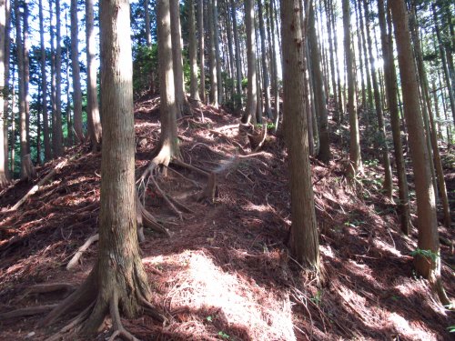 登山道